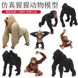 动植物仿真;戏水玩具;智力魔方