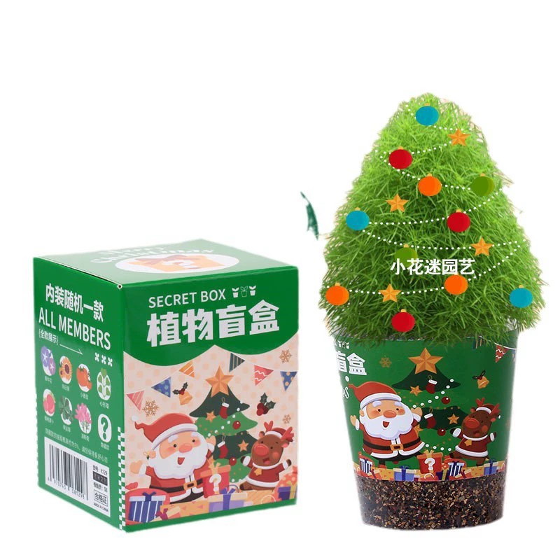 Кросс-бортовые рождественские подарки рождественская plant blind box настольное выращивание горшочное творческое детский подарок blind box