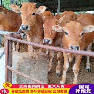 ������ţ���Bֳ�����������Sţ�r�����Bֳ�һ�����ţ��һ�^�l؛