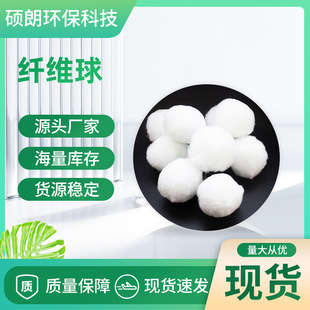 �����w�S��V�������^�V�V������ë�����ϑҸ�����������ˮ̎��