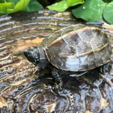 �������w ���A������������С�^�p��ˮ���������������������]