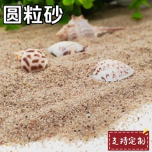 �A��ɰ�Θ�����ɳ�����É���ɰ�A��ɰɳ���~���쾰�A��ɰ��ɰ�V��