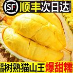 【顺丰】泰国猫山王榴莲肉冷冻批发应季水果当季有核无壳新鲜