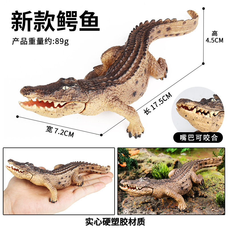 Children's Cognitive Solid Simulation Wild Amphibian Crocodile Model Wild Boar Alligator Nile Alligator Alligator Toy