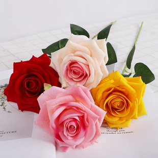 �����֧�q��õ�廨 ���������������õ��ٻ����lõ�廨���滨