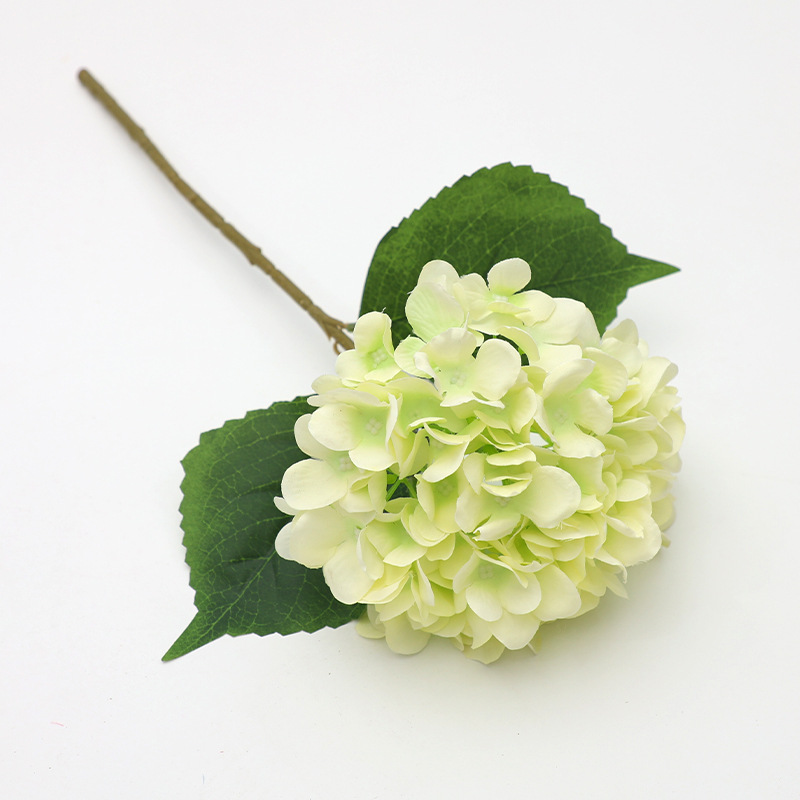 Green white