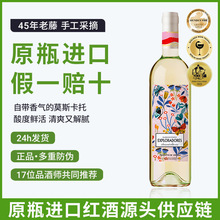炫蝶白葡萄酒莫斯卡托少女半甜白女士微醺西班牙酒庄原瓶进口红酒