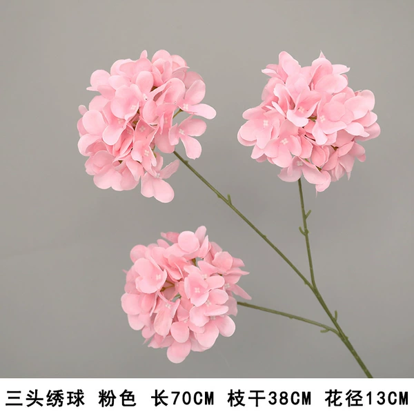 Three -headed hydrangea pink