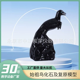 教学演示用品;教学仪器;数理教学器材