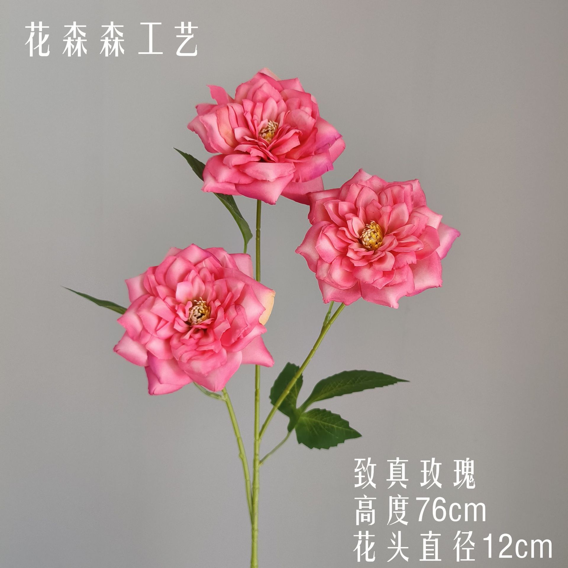 진정한 장미 122006