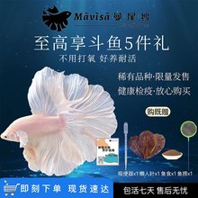 ̩����������������С�ͳ����ȴ���ˮ���»�ɴ������ͻ�