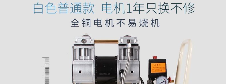 Small Air Compressor, High-Pressure Air Compression Inflator, Oil-Free, Silent, 220V Tool, Paint Spray Air Pump Manufacturer