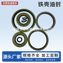 铁壳外骨架高压油封TB、TA、SB、SA氟胶丁青马达抗压机械密封件