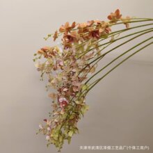 ��c�����zƬС���m���滨�����Y�ò廨�ő���zӰ���l