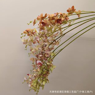 ��c�����zƬС���m���滨�����Y�ò廨�ő���zӰ���l