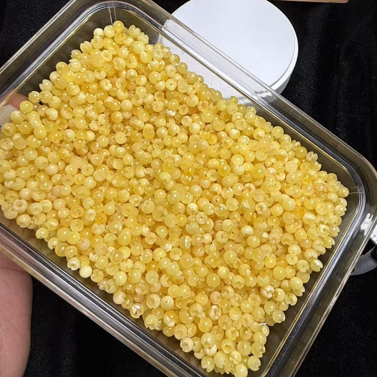 2025-02-25 18:53:14.jpg