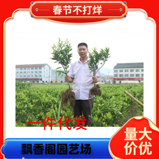 �������lɰ�ǽ��������o��ɰ������ɳ�ǽ��������箔��Y��