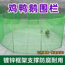 鸡鸭围栏可折叠养殖隔离网宠物隔断鸡鸭打疫苗专用移动养鸡围栏网