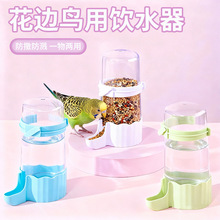 鸟用自动饮水器虎皮牡丹玄凤鹦鹉下料器大容量喝水壶喂食器鸟用品