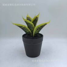 �մɻ��莧�бP���⺆�s�����m�G�}������m�����մ����l