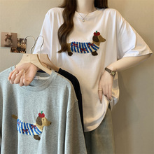 �nϵ�OӋ���D�cС���A�I������2026�ļ��¿�����e�ٴ�����Ů