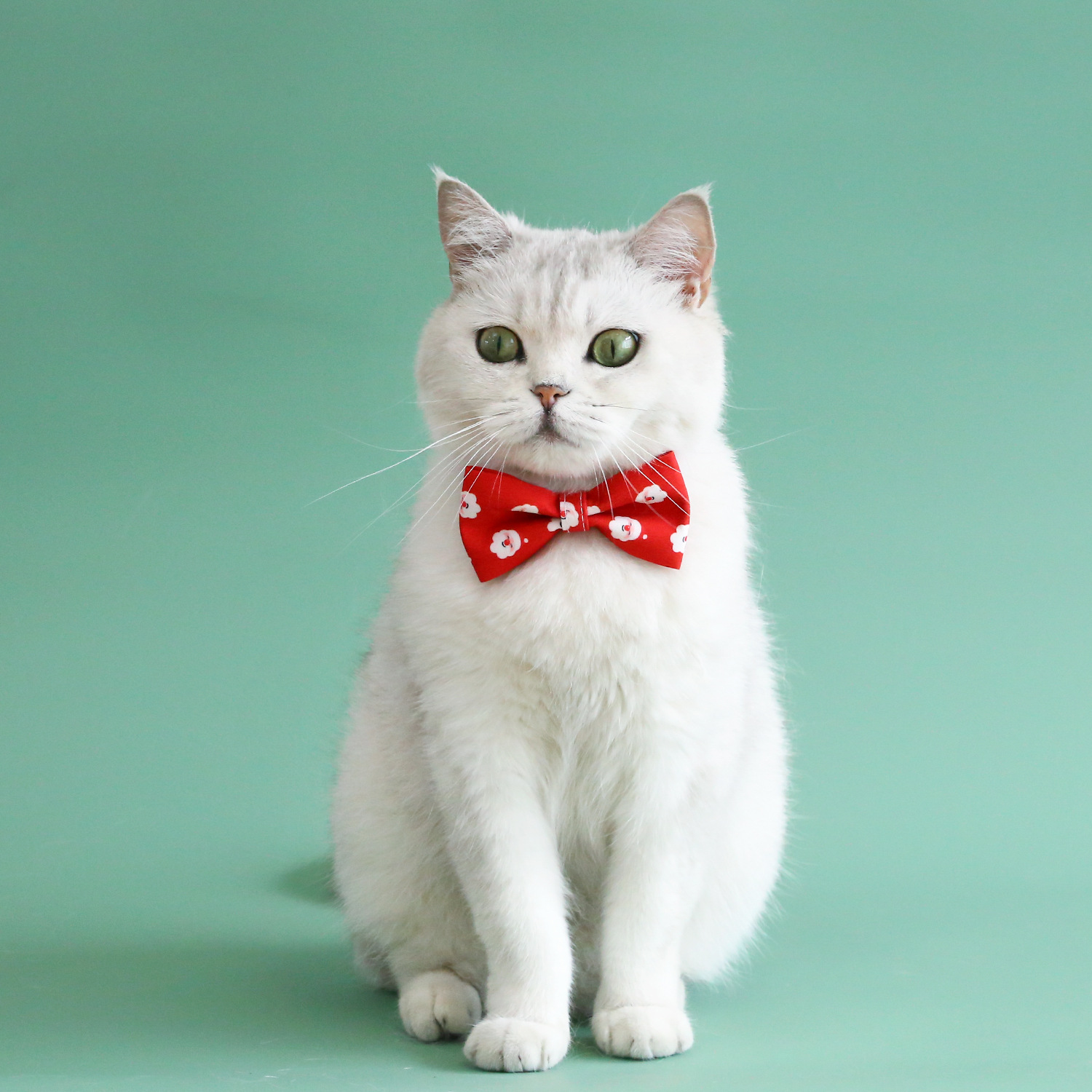 2023 mascotas navideñas corbata gato perro anti-asfixia hebilla ajustable rayas arco doble collar
