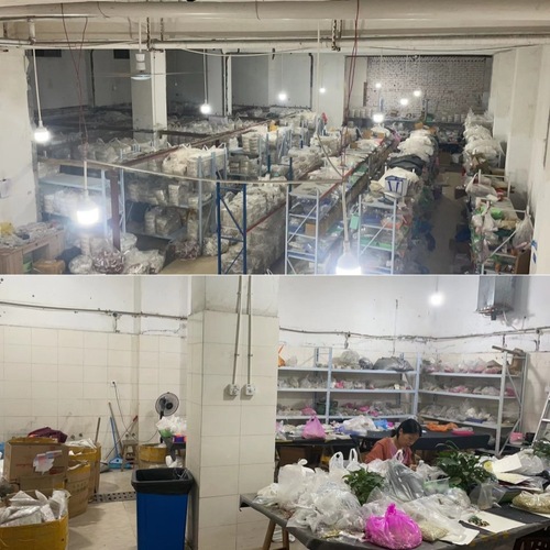 S925 Silver Needle Korean Version Pearl Earrings with a Touch of Luxury, Simple and Elegant, Micro-Embedded Diamond Flower Stud Earrings for Women,  New Arrival