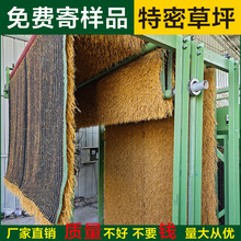 ����é���ݷ�����ȼ���Ͼ��^����ͥԺ�������é�ݼ��ߛ�ͤ��̺ʽ