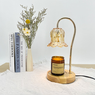 Home Wax Melting Machine Wax Melting Lamp Personalized Ornaments Aromatherapy Lamp Melting Candle Lamp Christmas Birthday Gift Wholesale Night Light
