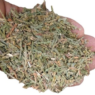 �в�ș�ȂȰ��~����ș�����lϴ�^��ș��ș�����Ǻ��מ���Ůؑ��