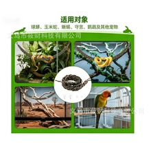 爬宠攀爬绳 蛇用黄麻绳爬架 球蟒玉米蛇守宫蜥蜴鹦鹉吊绳 爬缸造