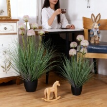 ¶�I�L�JȔ��β؈β�Ͳݼٻ��GֲС��ˮ�����[�ݼҾ��b[��