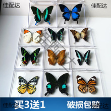 ������˱��[����չ���������x�˱����x�W����������͸�����b