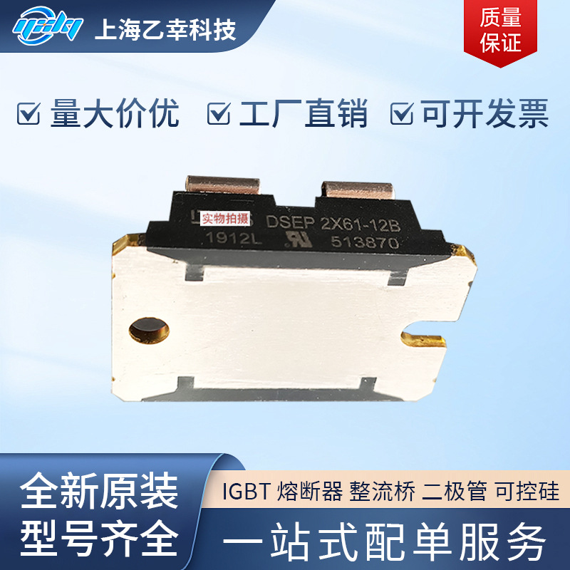 德国IXYS原厂货DSEP2X61-12B DSEP2X101-04A二极管模块 MOS管系列