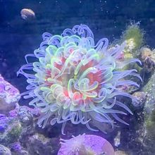 �������w���ﺣ�������ɺ���쾰���ݻ����^�p��ˮ�~��ĪС���~