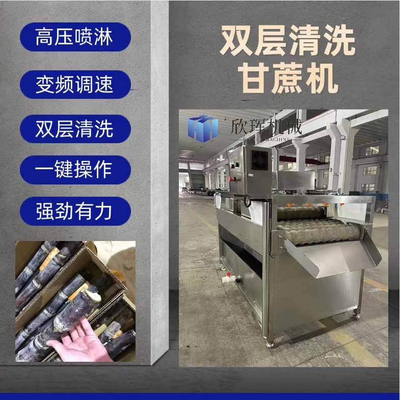 大型甘蔗毛刷清洗机 全自动唐人豆清洗设备 304不锈钢洗泥土机