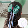 Hair accessory, children's hairgrip, cute hairpins for princess, hair rope with bow, “Frozen”