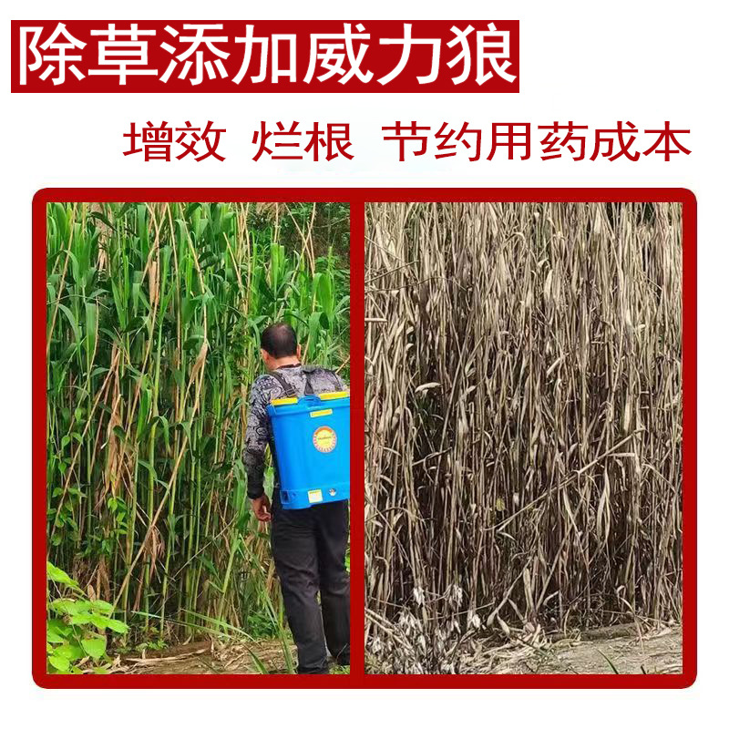 e34120ffaca2c2ac7f686c70fd6c95