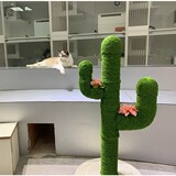 Кошка скалолаза рамка интернет знаменитость кактус кот гнездо Тонгтианьжа Сизаль Кот царапин