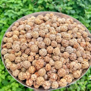 ��ޢ�V�����ϲ�ޢ���l�ݿ��u������{�ϵȸ��N����