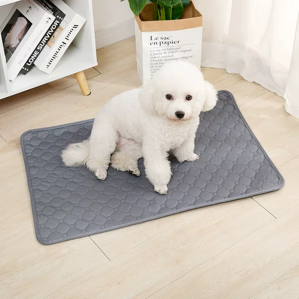 Cross-border pet pee pads, washable dog pee pads, non-slip and highly absorbent, suitable for cat training, and reusable