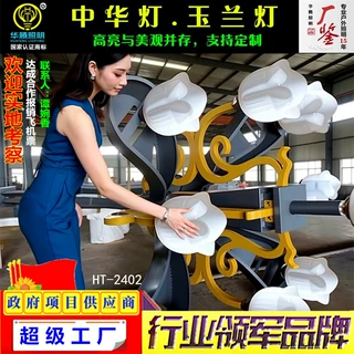 中华灯厂家定制广场高杆景观灯10米12米市政工程多头组合玉兰路灯