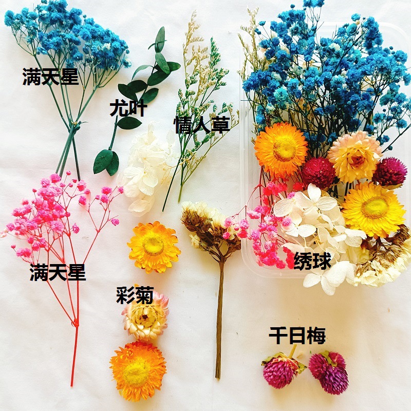 Festival bricolaje hecho a mano material de flor eterna planta flor seca florero flotante aromaterapia flor seca abanico de material paquete al por mayor