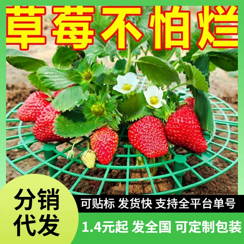 Подставка для клубники, поддон для выращивания клубники дома, зеленая подставка для растений, антиопрокидывающая подставка для растений, подставка для фруктов, подставка для клубники, садовые принадлежности
