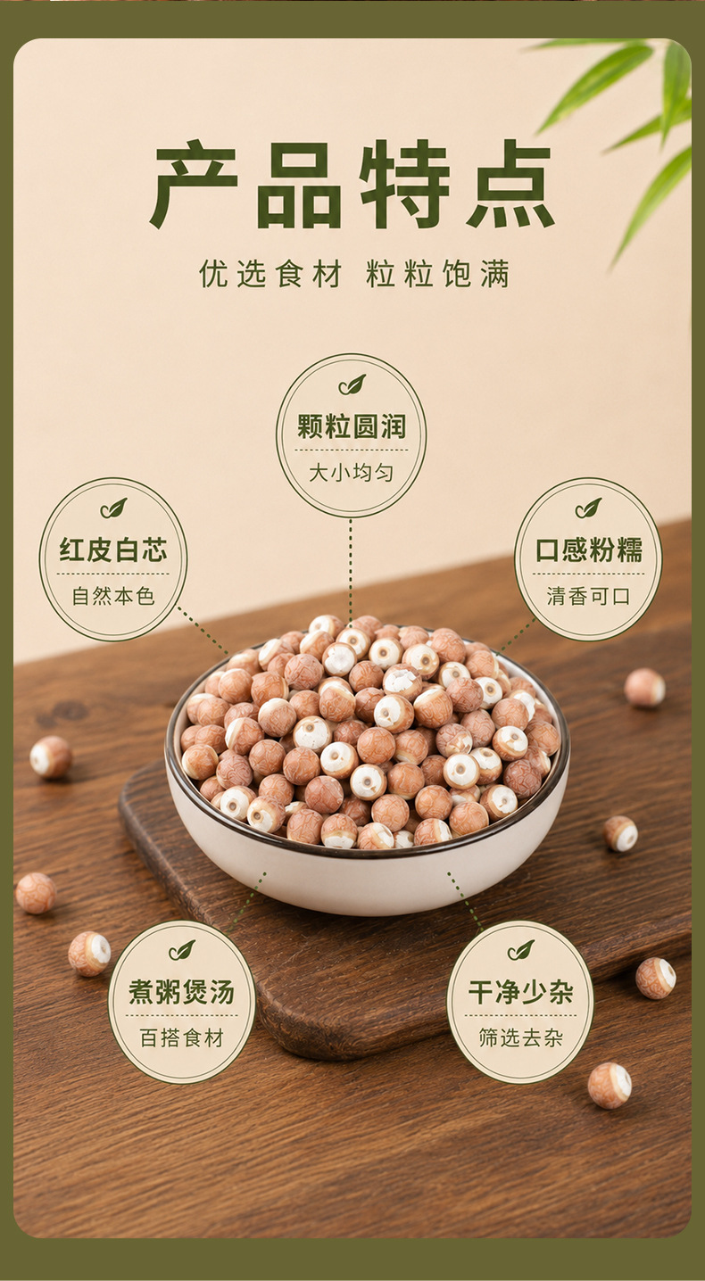 Dried Gorgon Fruit Qian Shi 500g Organic Red Skin Euryale Seeds for Congee and Soup quality and texture
