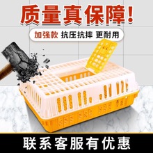加厚特大周转筐鸭鹅运输鸡筐成鸡鸽子笼家用鸡笼鸡笼子塑料垒德株