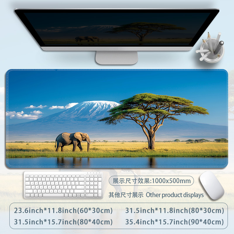 B77-