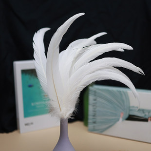 ���Sֱ�N15-45cm�����uβ�Lβ��ë�Ʒ���b�o����̨�uëDIY���