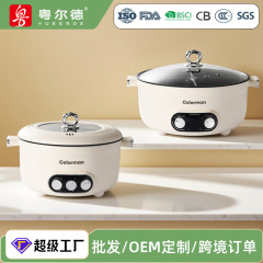 家用鸳鸯电火锅双味三味四味大容量4L5L分区控温多功能不粘电煮锅