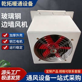 玻璃钢边墙风机低噪防爆型220V工业通风排风机防雨DWEX边墙风机